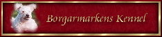 Borgarmarken